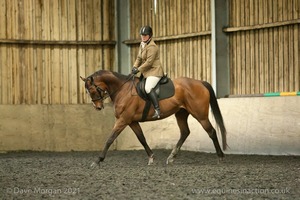 Isis Dressage Crown Farm Show 29th April 2012